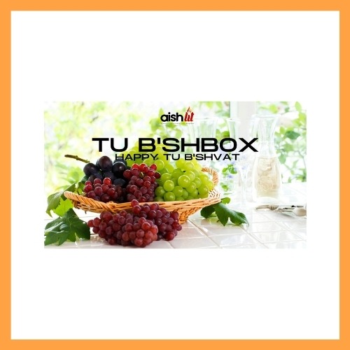 Tu B'Shbox - AishLIT Website