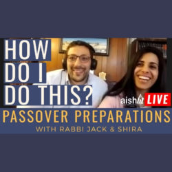 How Do I Do This On My Own, Passover Preparations - AishLIT Website